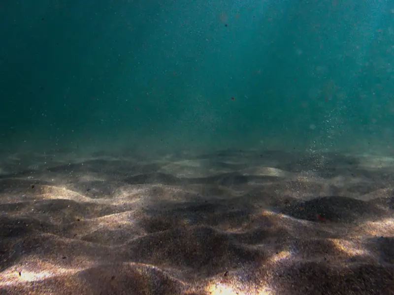 Sunlight shining through clear water onto a sandy floor